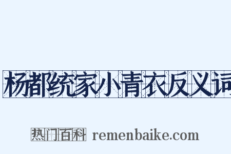杨都统家小青衣反义词是什么意思的图片